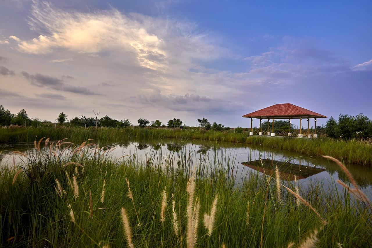Blackbuck Safari Lodge Velavadar Bavliari Exteriör bild