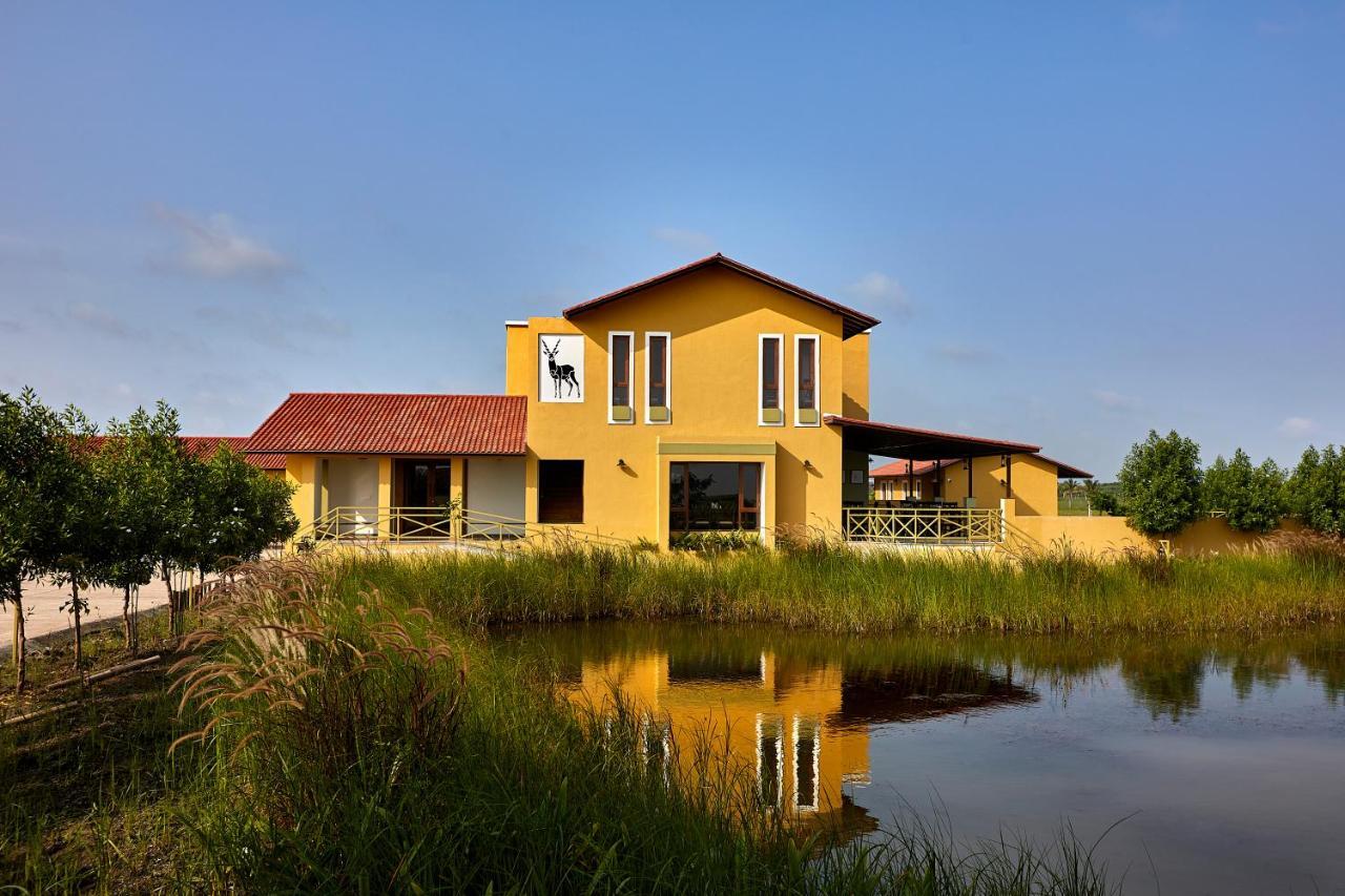 Blackbuck Safari Lodge Velavadar Bavliari Exteriör bild