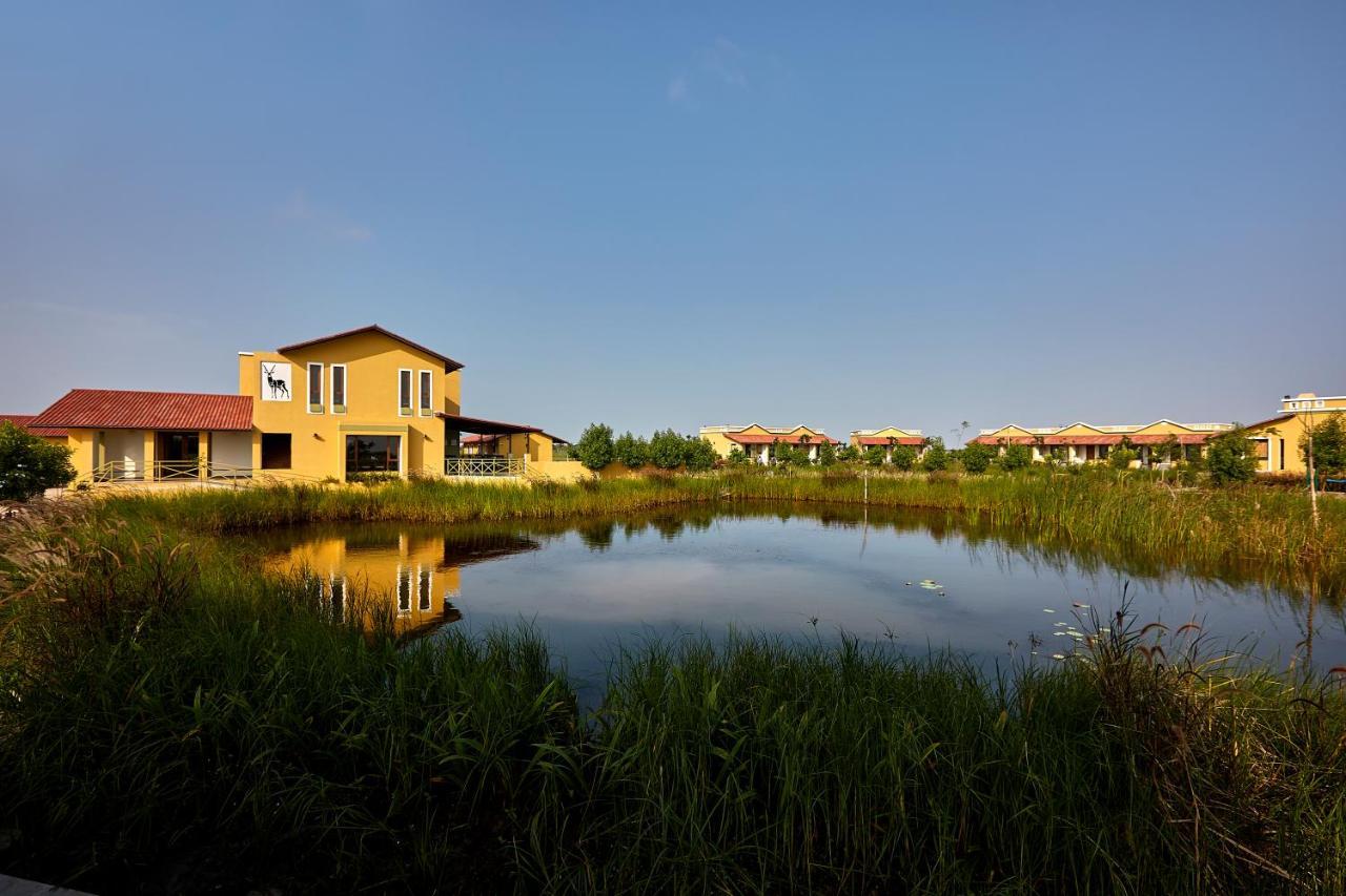 Blackbuck Safari Lodge Velavadar Bavliari Exteriör bild