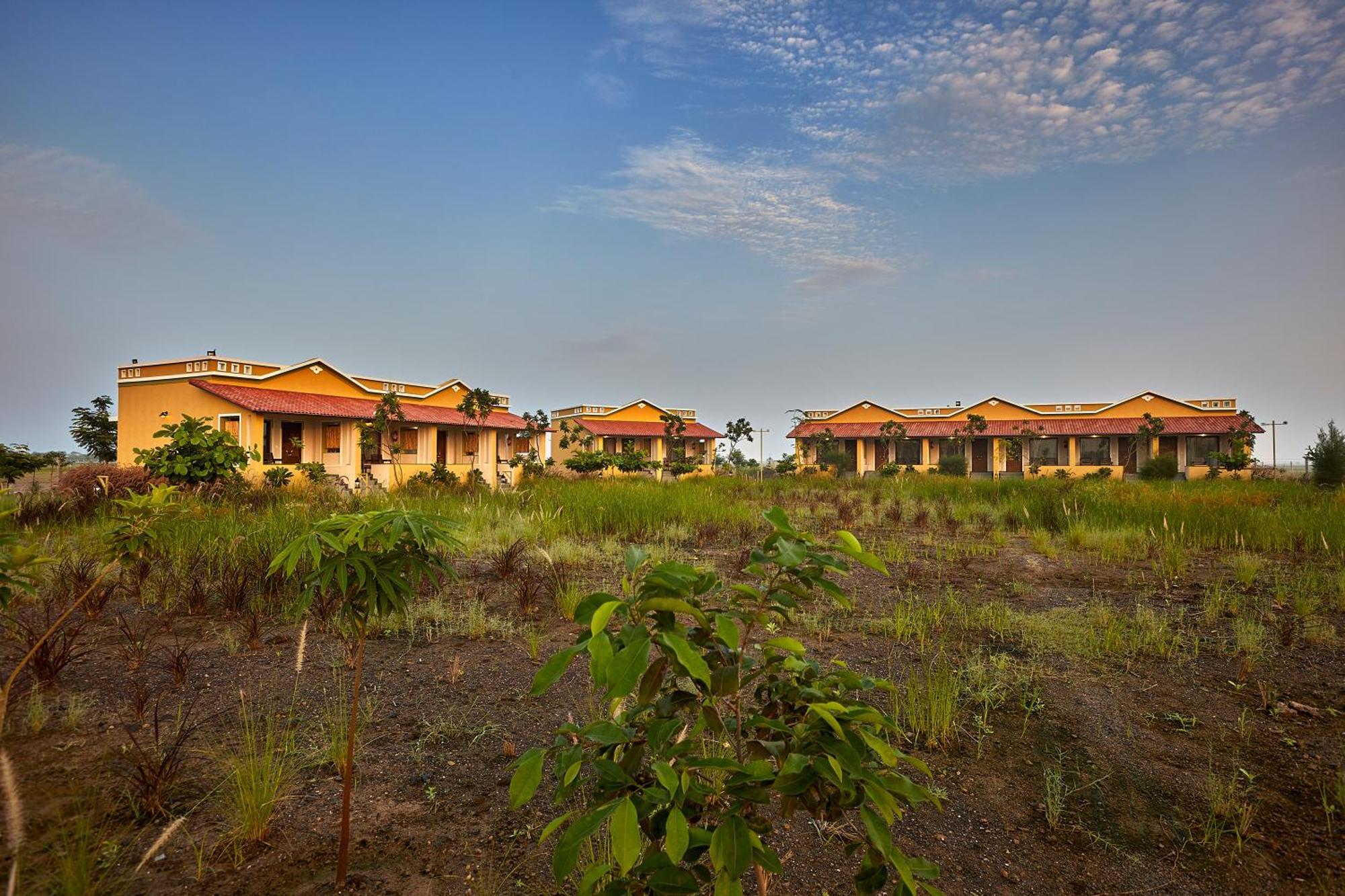 Blackbuck Safari Lodge Velavadar Bavliari Exteriör bild
