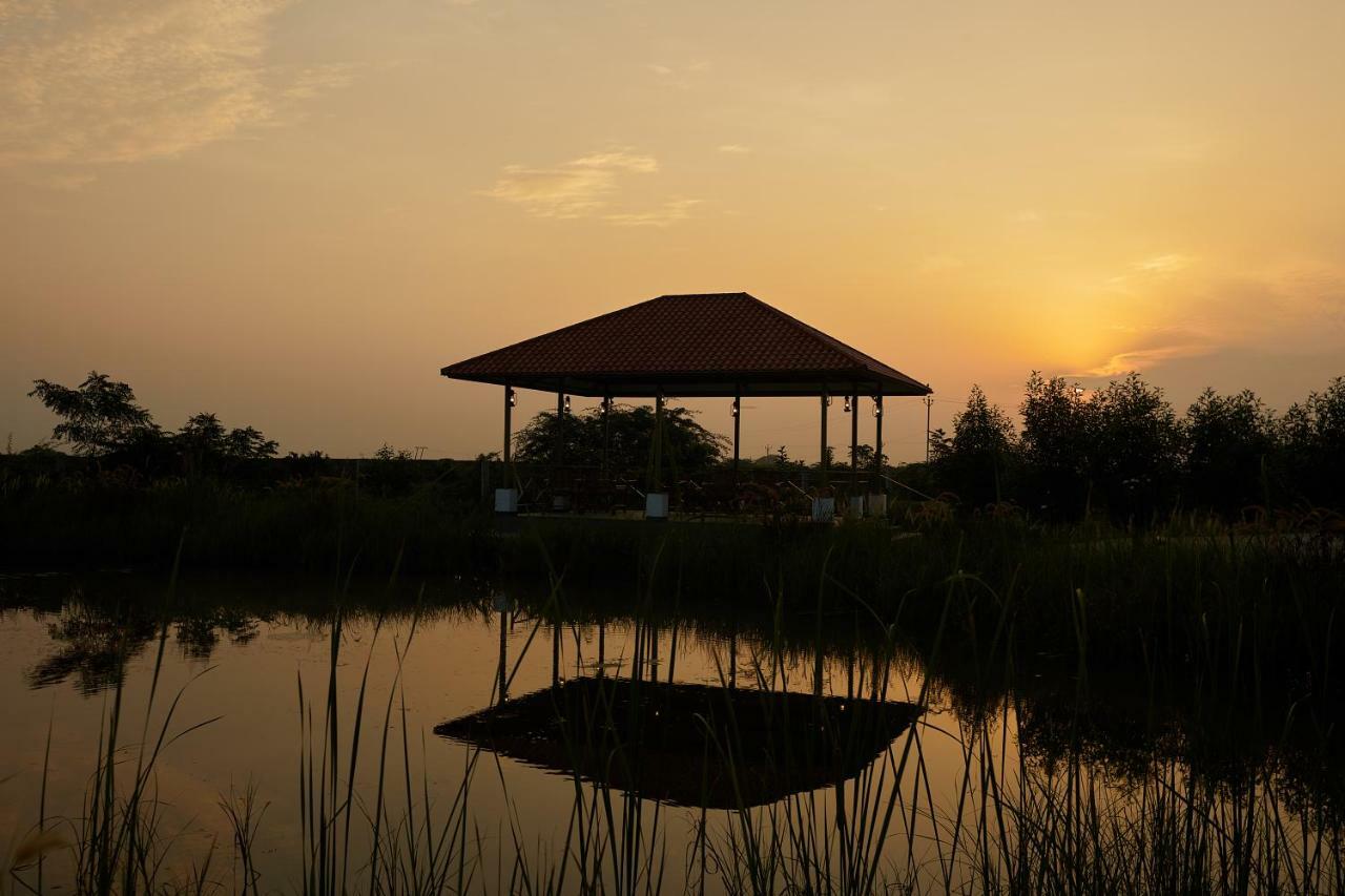 Blackbuck Safari Lodge Velavadar Bavliari Exteriör bild