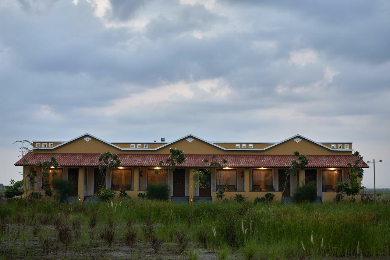 Blackbuck Safari Lodge Velavadar Bavliari Exteriör bild